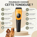 Tondeuse professionnelle pour Chat