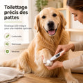 Tondeuse pattes pour Chien