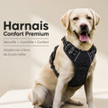 Harnais pour Chien