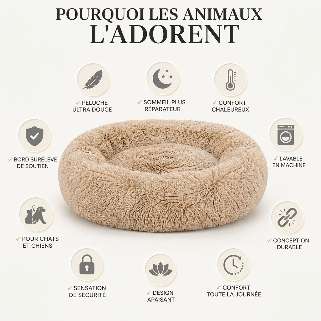 Coussin pour Chat