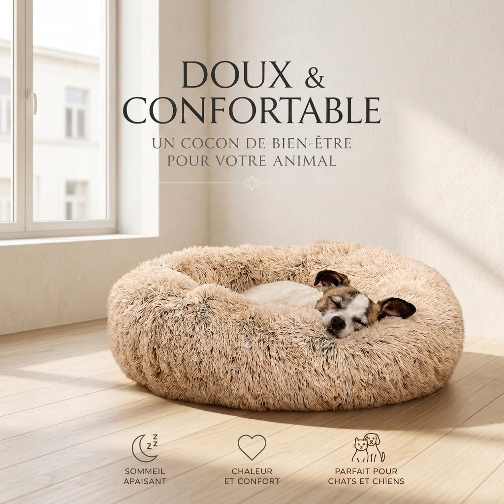 Coussin pour Chat