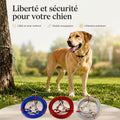 Cable de laisse robuste pour Chien