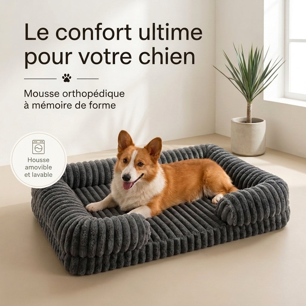 Lit orthopédique pour chien