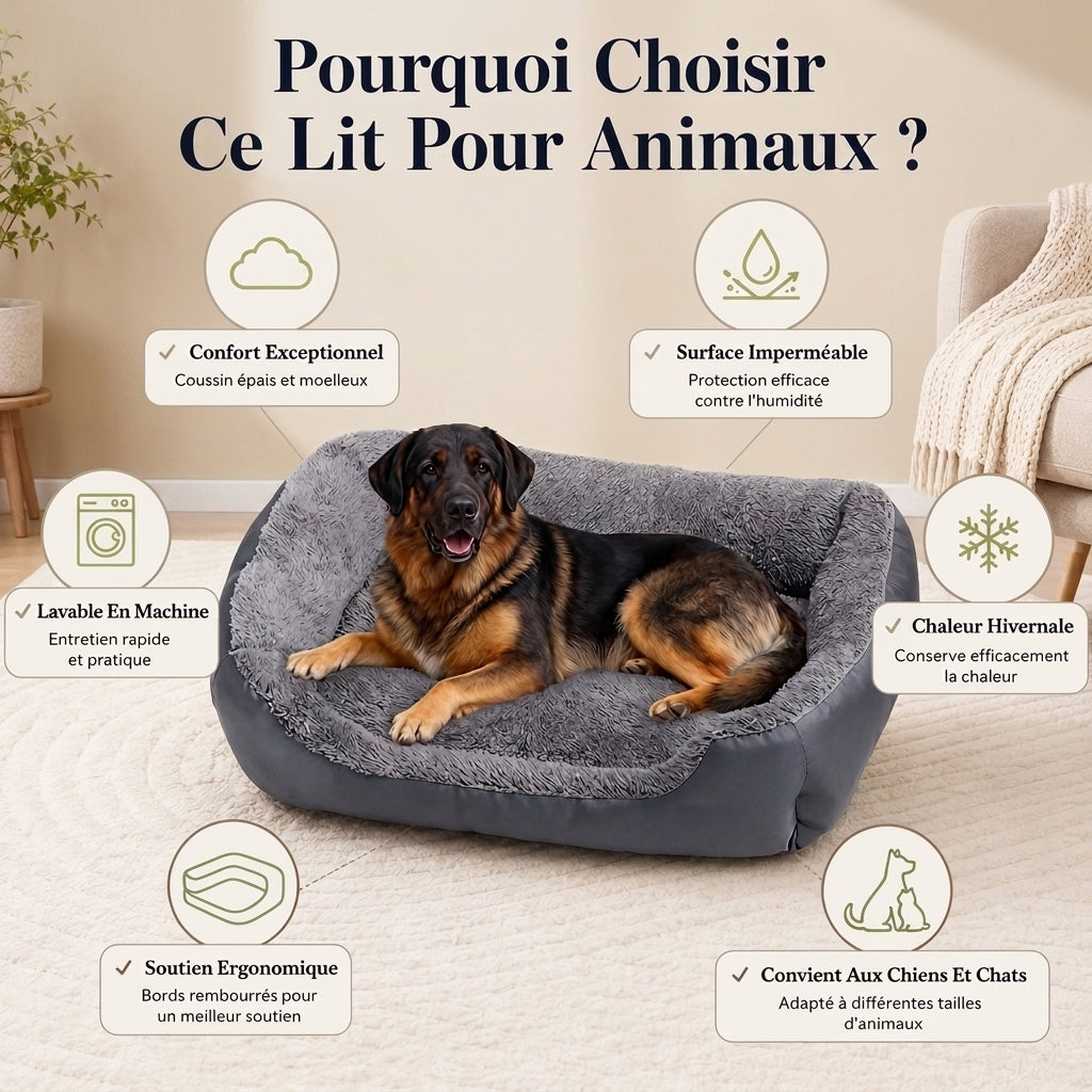 Lit confort pour Chien