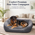 Lit confort pour Chien