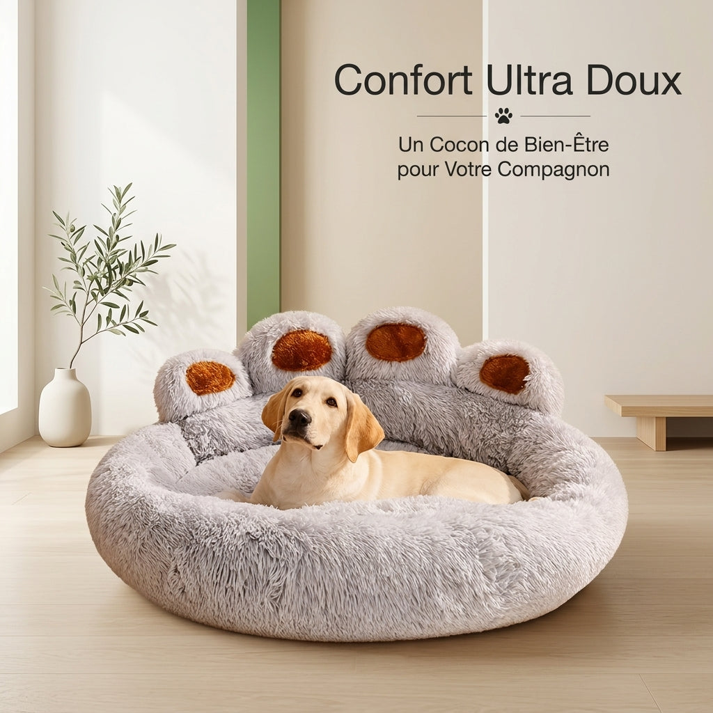 Lit pour chien
