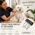 Trousse toilettage pour Chien