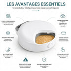 Boîte repas portable pour chat et chien