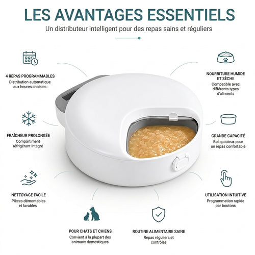 Boîte repas portable pour chat et chien