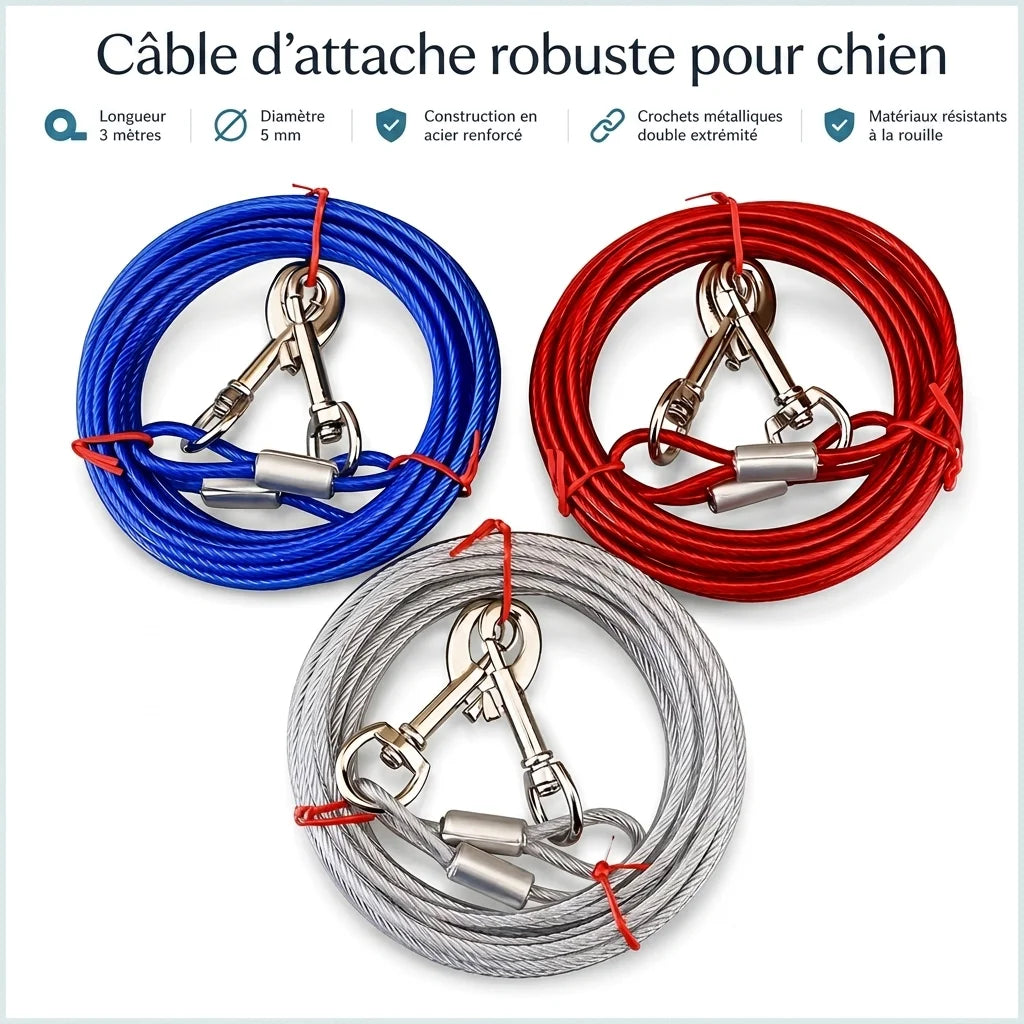 Câble attache jardin chien - coloris bleu rouge gris