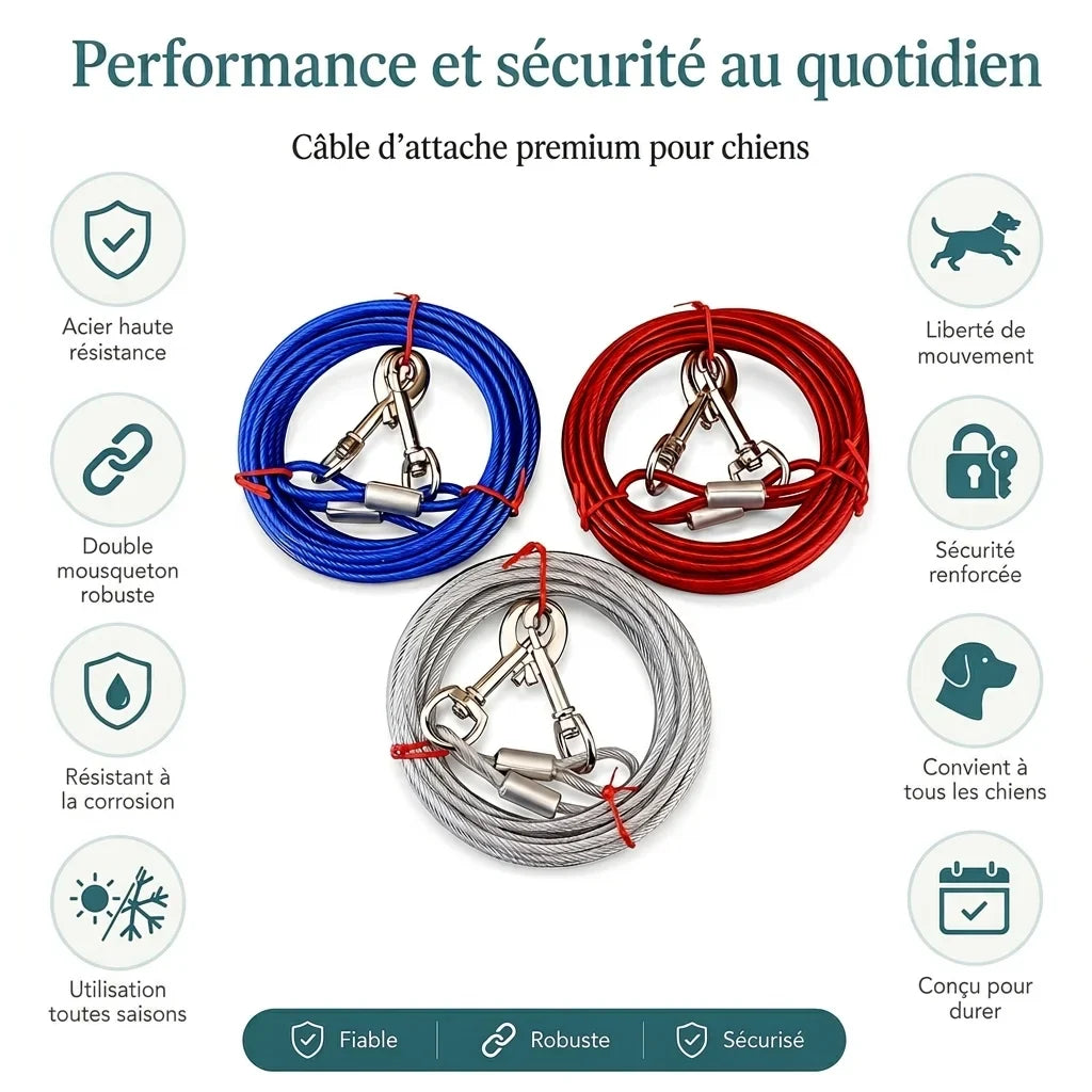 Câble attache jardin chien - performance et sécurité