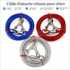 Câble d'attache robuste 3 mètres pour chien