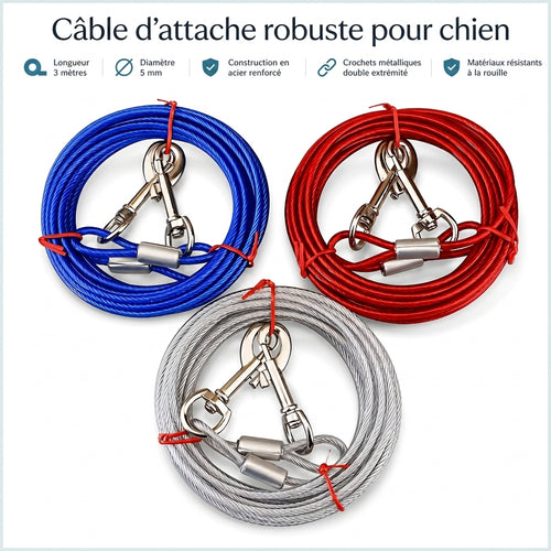 Câble d'attache robuste 3 mètres pour chien
