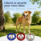 Câble d'attache robuste 3 mètres pour chien