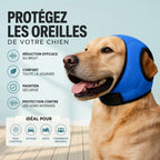 Casque apaisant anti-bruit pour chien