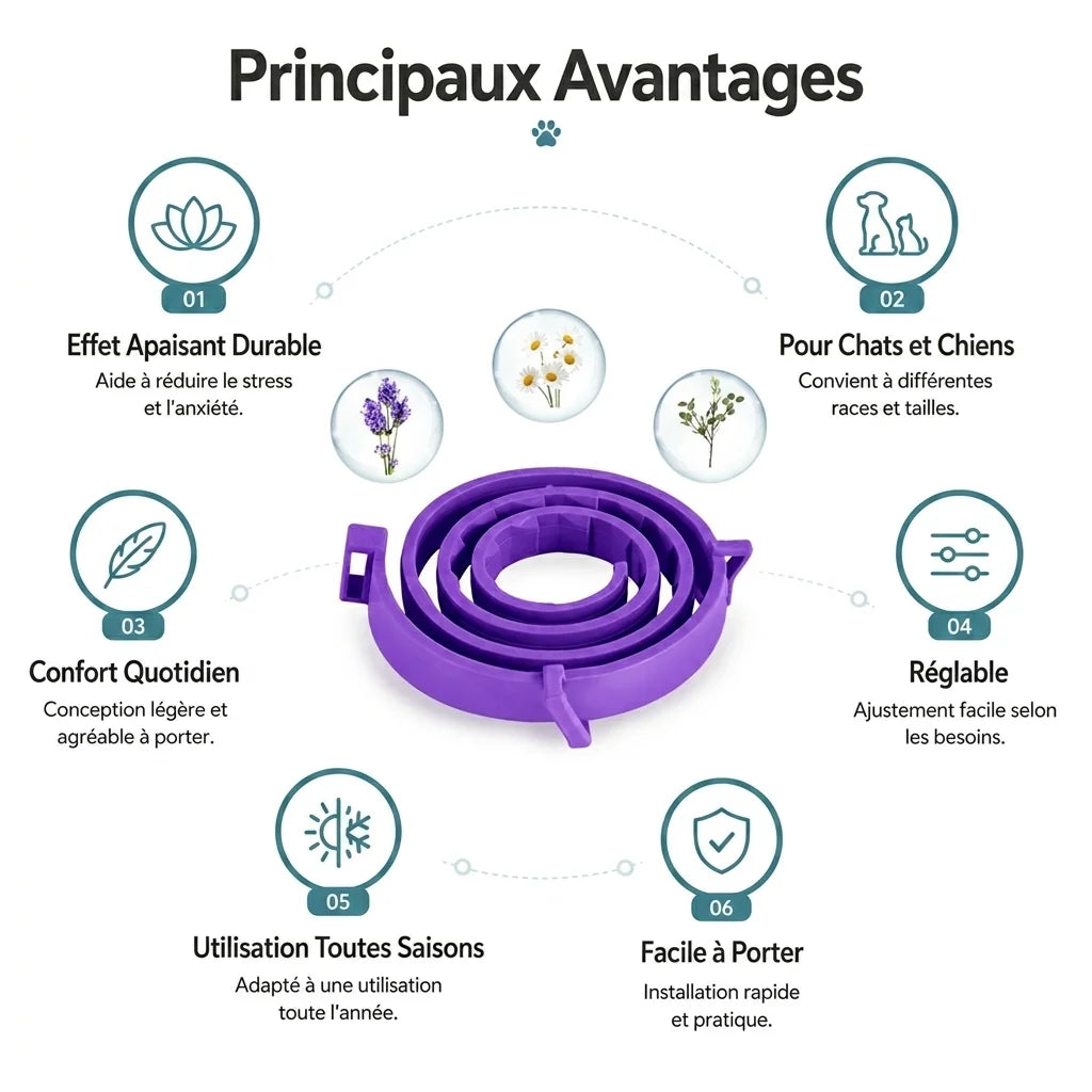 Avantages du collier apaisant anti-stress Wouska pour chat et chien