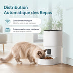 Distributeur de croquettes automatique connecté Wi-Fi