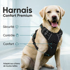Harnais réfléchissant pour chien