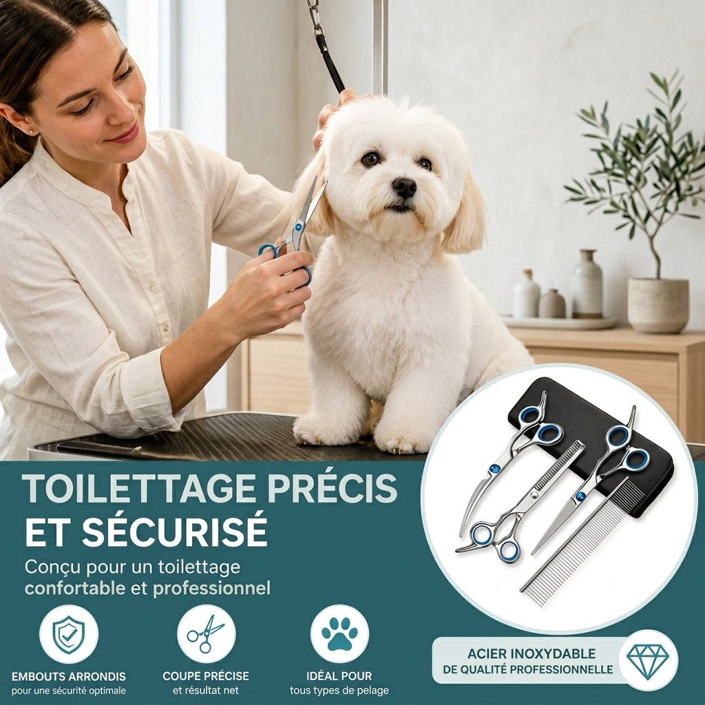 Kit de toilettage ciseaux et peigne
