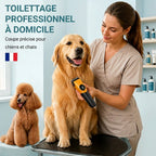 Tondeuse avec écran LCD pour chien et chat