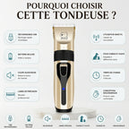 Tondeuse professionnelle pour chien et chat